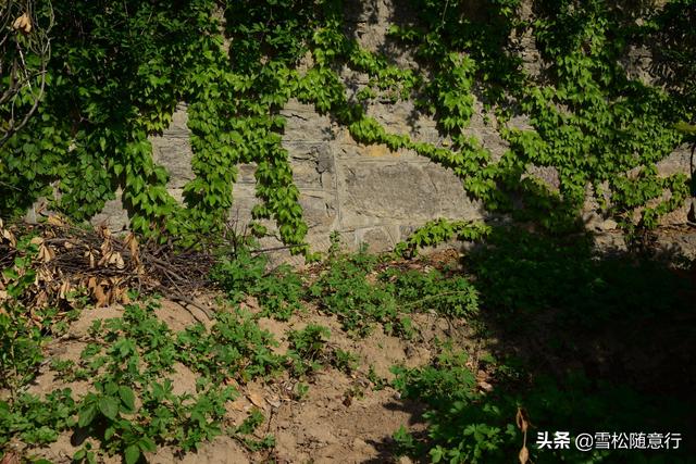 行走在徐州茅村镇洞山村，寻找昔日龙华寺遗迹，曾是徐州八大寺